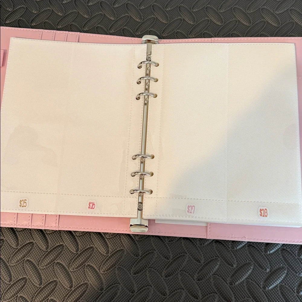 Pink Savings Challenge Envelope Organizer